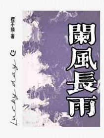 阑风长雨的意思