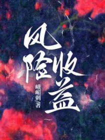 风险收益率是指