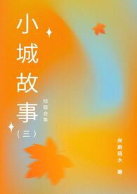 30集电视连续剧小城故事
