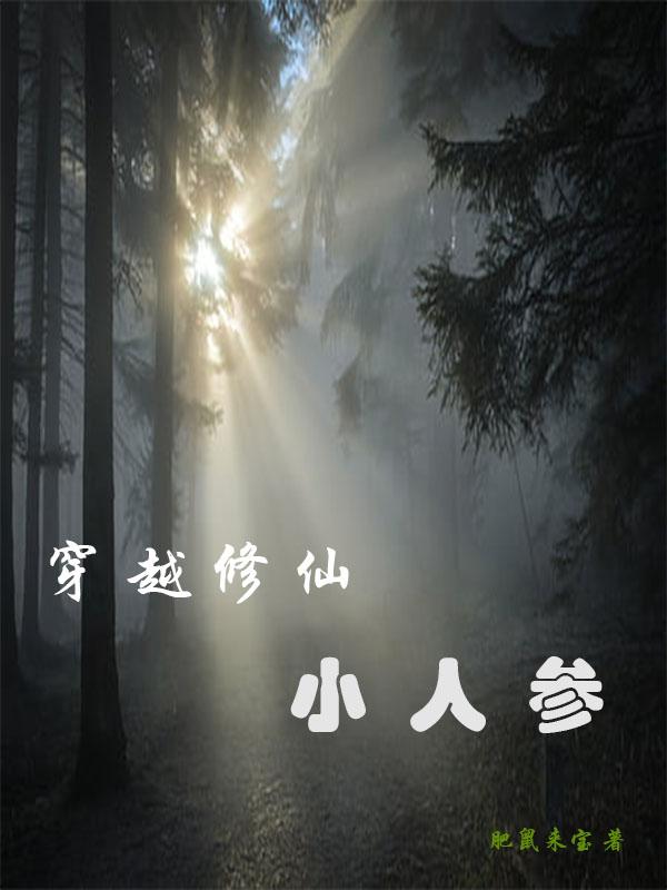 穿越修仙小说全本