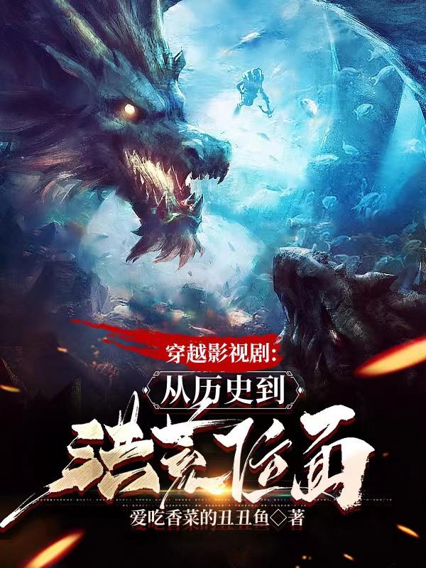 穿越到影视剧中的小说