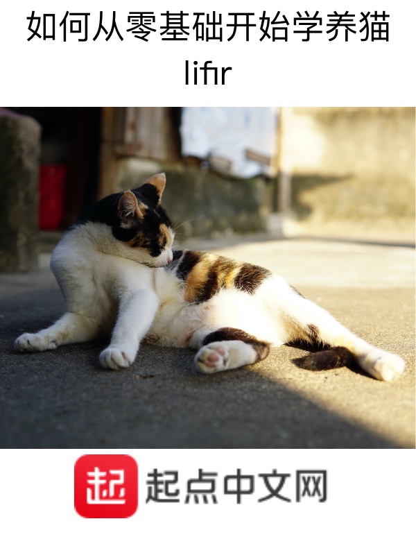 如何从零基础开始学习代码编程