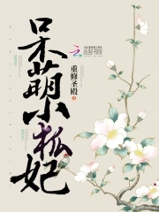 呆萌小鸡全集