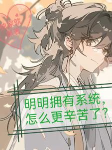 系统特别好