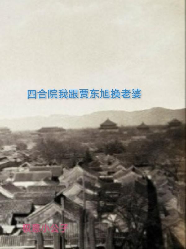 四合院之贾家