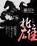 北雄小说评价