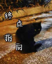 终点小说