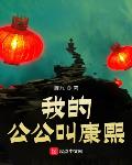 我的公公叫康熙小说免费