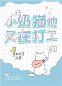 小奶猫图片