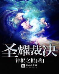 圣耀武器幻化