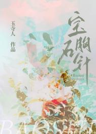 宝石胸针小说番外